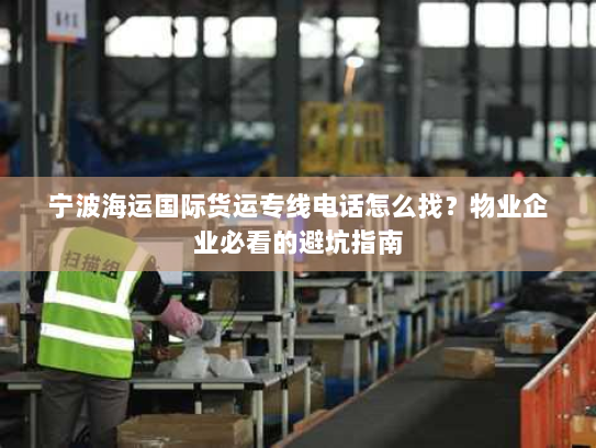 宁波海运国际货运专线电话怎么找?物业企业必看的避坑指南 宁波海运国际货运专线电话怎么找?物业企业必看的避坑指南