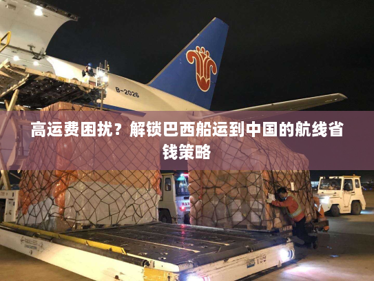 高运费困扰?解锁巴西船运到中国的航线省钱策略 高运费困扰?解锁巴西船运到中国的航线省钱策略