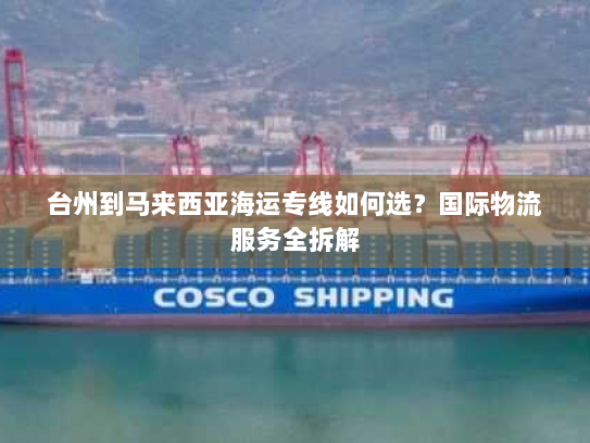 台州到马来西亚海运专线如何选?国际物流服务全拆解 台州到马来西亚海运专线如何选?国际物流服务全拆解