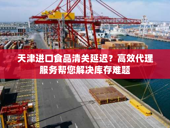 天津进口食品清关延迟？高效代理服务帮您解决库存难题
