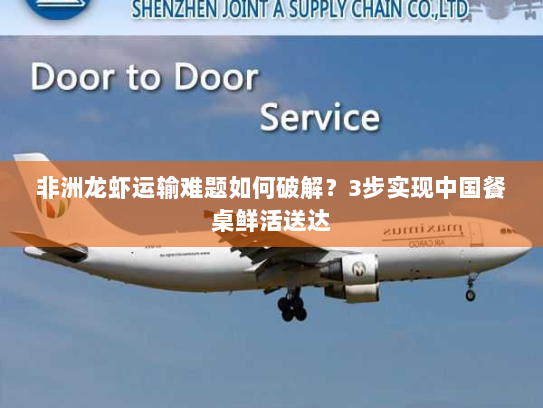 非洲龙虾运输难题如何破解？3步实现中国餐桌鲜活送达