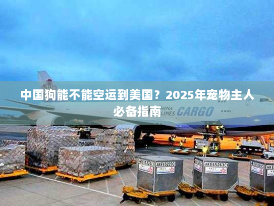 中国狗能不能空运到美国？2025年宠物主人必备指南