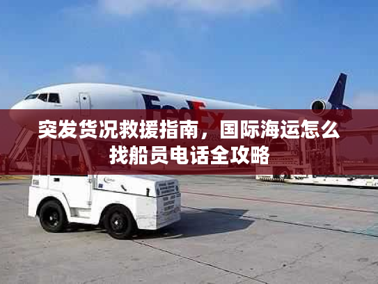 突发货况救援指南，国际海运怎么找船员电话全攻略