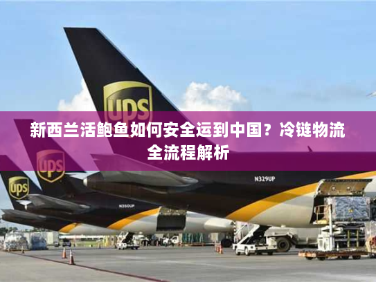 新西兰活鲍鱼如何安全运到中国？冷链物流全流程解析