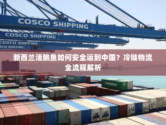 新西兰活鲍鱼如何安全运到中国？冷链物流全流程解析