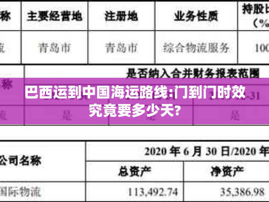 巴西运到中国海运路线:门到门时效究竟要多少天? 巴西运到中国海运路线:门到门时效究竟要多少天?