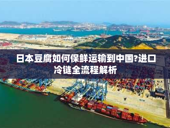 日本豆腐如何保鲜运输到中国?进口冷链全流程解析