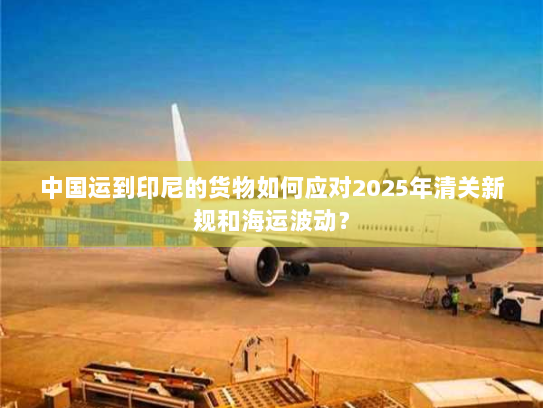 中国运到印尼的货物如何应对2025年清关新规和海运波动？