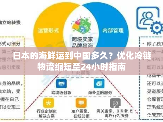 日本的海鲜运到中国多久？优化冷链物流缩短至24小时指南