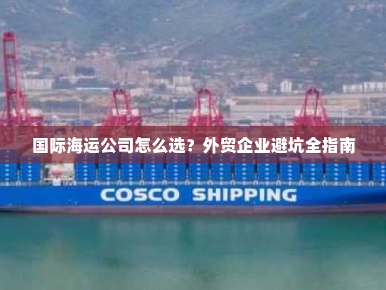 国际海运公司怎么选？外贸企业避坑全指南