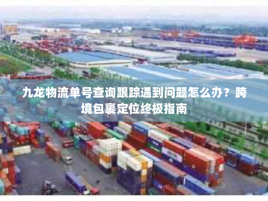 九龙物流单号查询跟踪遇到问题怎么办？跨境包裹定位终极指南