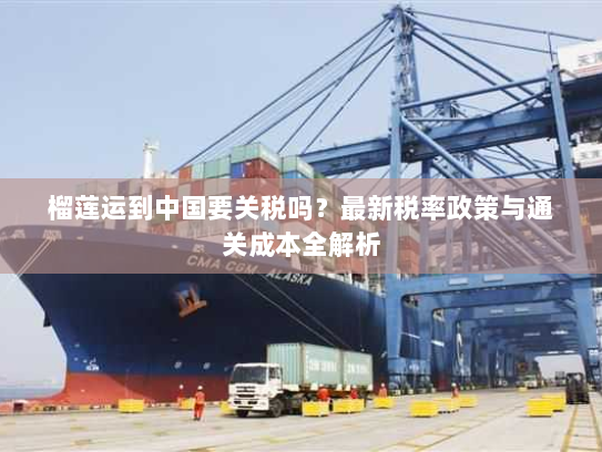 榴莲运到中国要关税吗?最新税率政策与通关成本全解析 榴莲运到中国要关税吗?最新税率政策与通关成本全解析