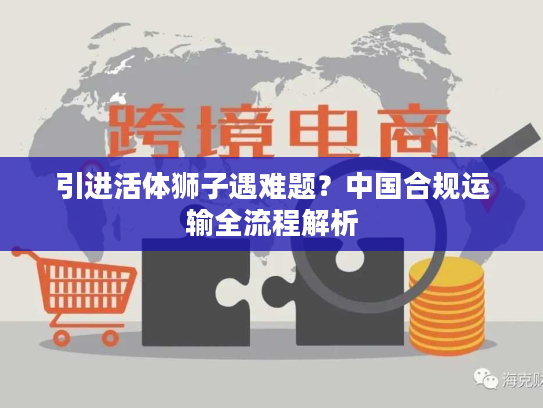 引进活体狮子遇难题？中国合规运输全流程解析
