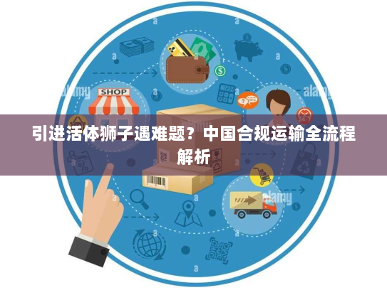 引进活体狮子遇难题？中国合规运输全流程解析