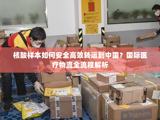 核酸样本如何安全高效转运到中国?国际医疗物流全流程解析 核酸样本如何安全高效转运到中国?国际医疗物流全流程解析