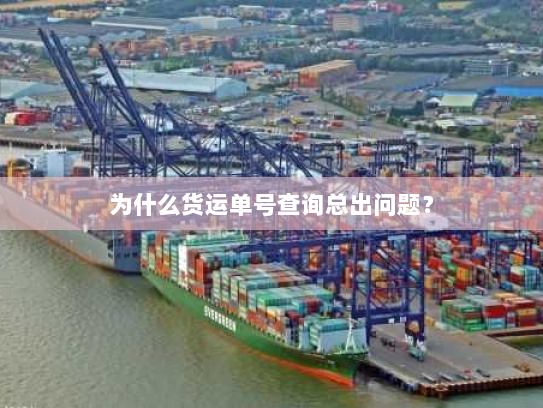 为什么货运单号查询总出问题? 为什么货运单号查询总出问题?
