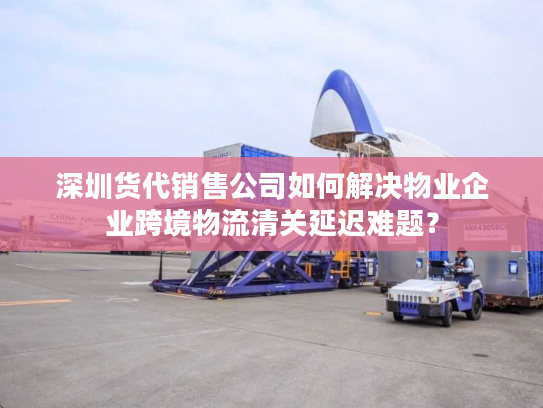 深圳货代销售公司如何解决物业企业跨境物流清关延迟难题？