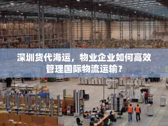 深圳货代海运，物业企业如何高效管理国际物流运输？