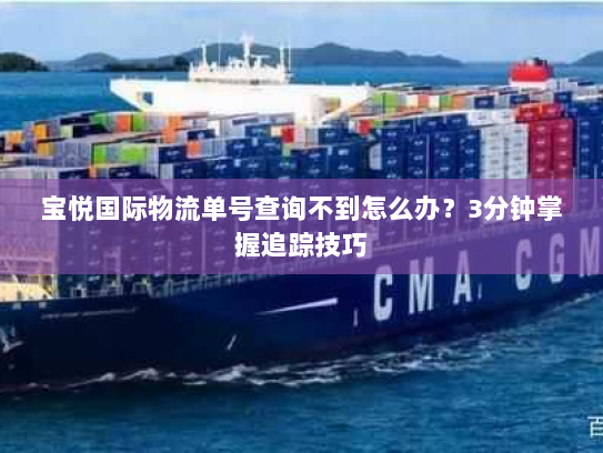 宝悦国际物流单号查询不到怎么办?3分钟掌握追踪技巧 宝悦国际物流单号查询不到怎么办?3分钟掌握追踪技巧