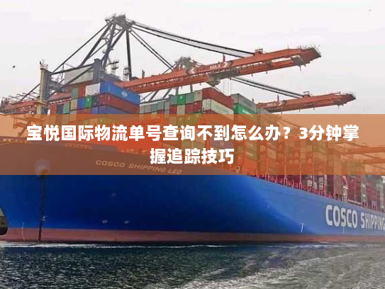 宝悦国际物流单号查询不到怎么办?3分钟掌握追踪技巧 宝悦国际物流单号查询不到怎么办?3分钟掌握追踪技巧