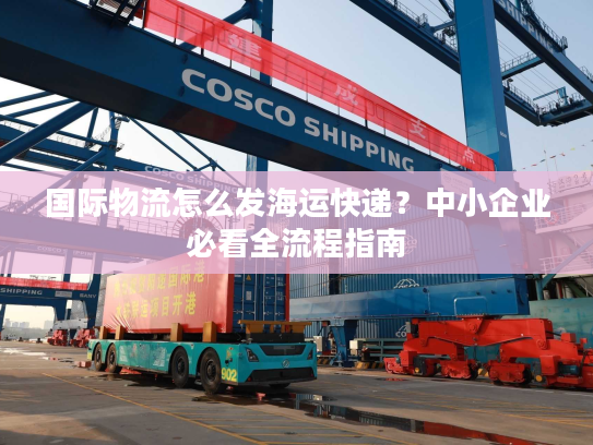 国际物流怎么发海运快递？中小企业必看全流程指南