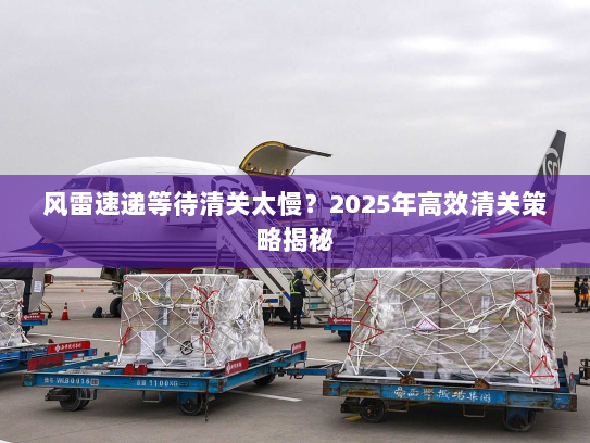 风雷速递等待清关太慢?2025年高效清关策略揭秘 风雷速递等待清关太慢?2025年高效清关策略揭秘