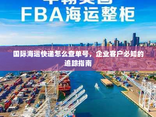国际海运快递怎么查单号,企业客户必知的追踪指南 国际海运快递怎么查单号,企业客户必知的追踪指南