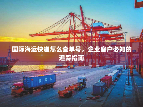 国际海运快递怎么查单号,企业客户必知的追踪指南 国际海运快递怎么查单号,企业客户必知的追踪指南