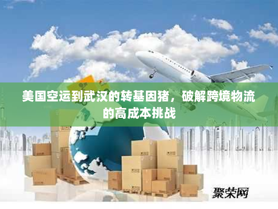 美国空运到武汉的转基因猪,破解跨境物流的高成本挑战 美国空运到武汉的转基因猪,破解跨境物流的高成本挑战