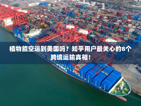 植物能空运到美国吗？知乎用户最关心的8个跨境运输真相！
