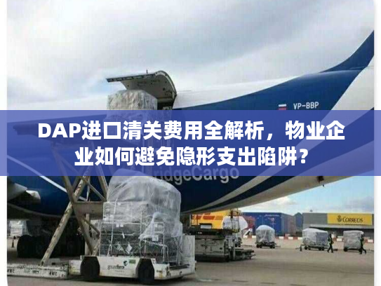 DAP进口清关费用全解析，物业企业如何避免隐形支出陷阱？