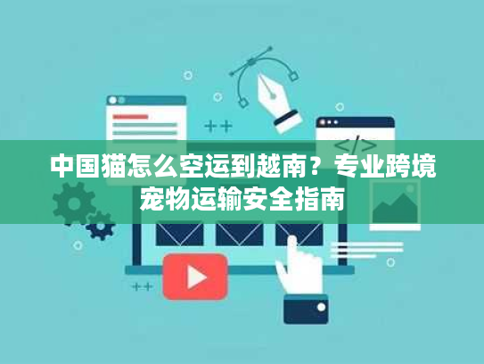中国猫怎么空运到越南？专业跨境宠物运输安全指南