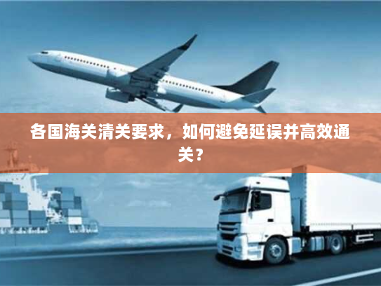 各国海关清关要求,如何避免延误并高效通关? 各国海关清关要求,如何避免延误并高效通关?