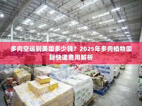 多肉空运到美国多少钱？2025年多肉植物国际快递费用解析