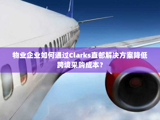 物业企业如何通过Clarks直邮解决方案降低跨境采购成本？