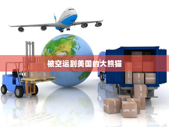 被空运到美国的大熊猫 被空运到美国的大熊猫