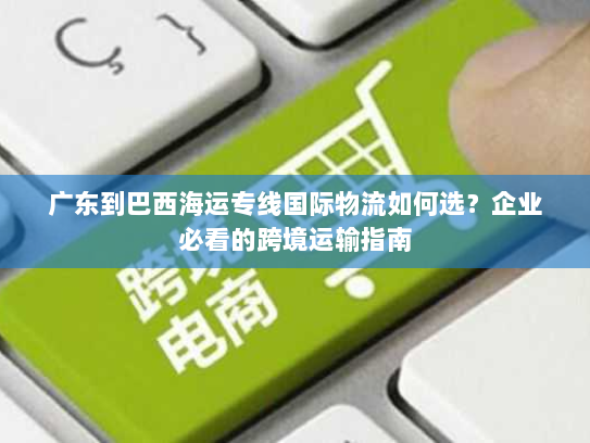 广东到巴西海运专线国际物流如何选？企业必看的跨境运输指南