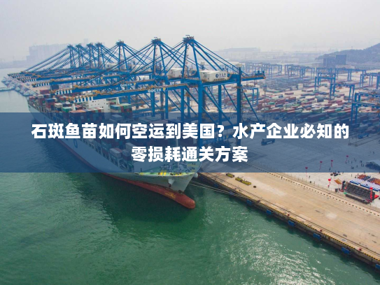石斑鱼苗如何空运到美国？水产企业必知的零损耗通关方案