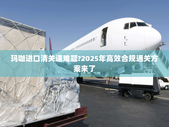 玛咖进口清关遇难题?2025年高效合规通关方案来了 玛咖进口清关遇难题?2025年高效合规通关方案来了