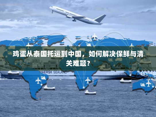 鸡蛋从泰国托运到中国,如何解决保鲜与清关难题? 鸡蛋从泰国托运到中国,如何解决保鲜与清关难题?