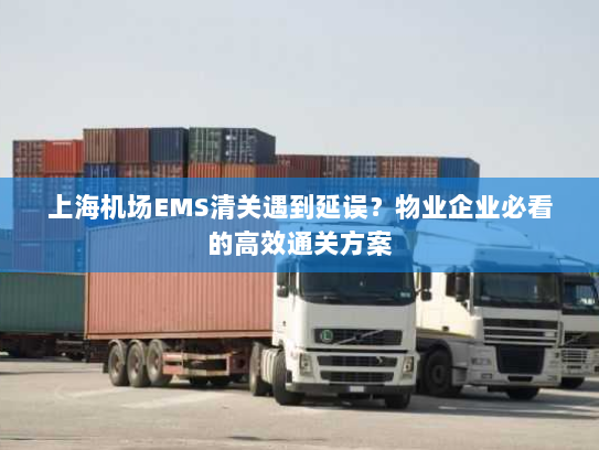 上海机场EMS清关遇到延误？物业企业必看的高效通关方案