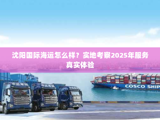 沈阳国际海运怎么样？实地考察2025年服务真实体验