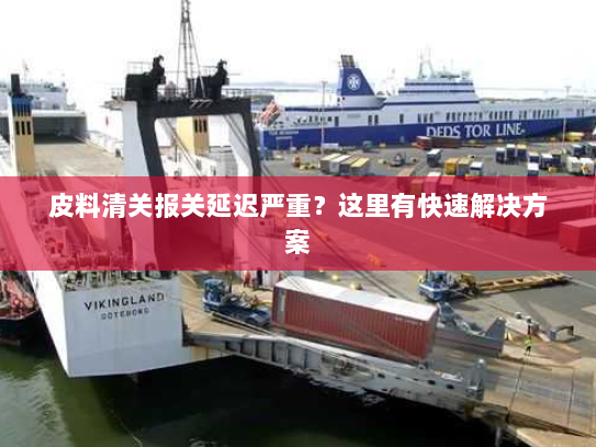 皮料清关报关延迟严重?这里有快速解决方案 皮料清关报关延迟严重?这里有快速解决方案