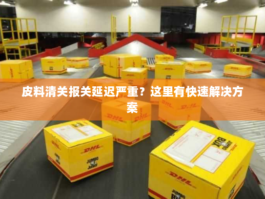 皮料清关报关延迟严重?这里有快速解决方案 皮料清关报关延迟严重?这里有快速解决方案