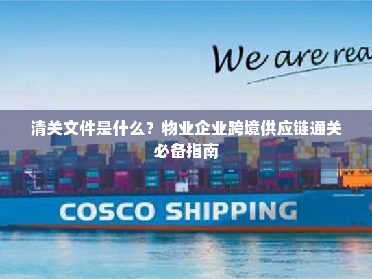清关文件是什么?物业企业跨境供应链通关必备指南 清关文件是什么?物业企业跨境供应链通关必备指南