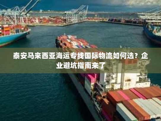 泰安马来西亚海运专线国际物流如何选?企业避坑指南来了 泰安马来西亚海运专线国际物流如何选?企业避坑指南来了