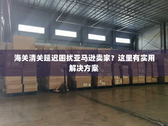 海关清关延迟困扰亚马逊卖家？这里有实用解决方案