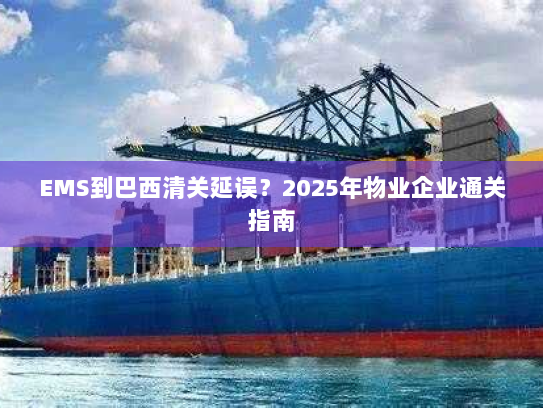 EMS到巴西清关延误？2025年物业企业通关指南