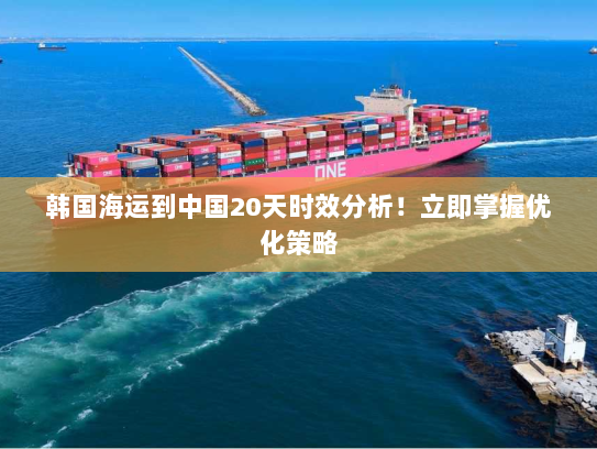 韩国海运到中国20天时效分析!立即掌握优化策略 韩国海运到中国20天时效分析!立即掌握优化策略