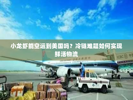 小龙虾能空运到美国吗?冷链难题如何实现鲜活物流 小龙虾能空运到美国吗?冷链难题如何实现鲜活物流